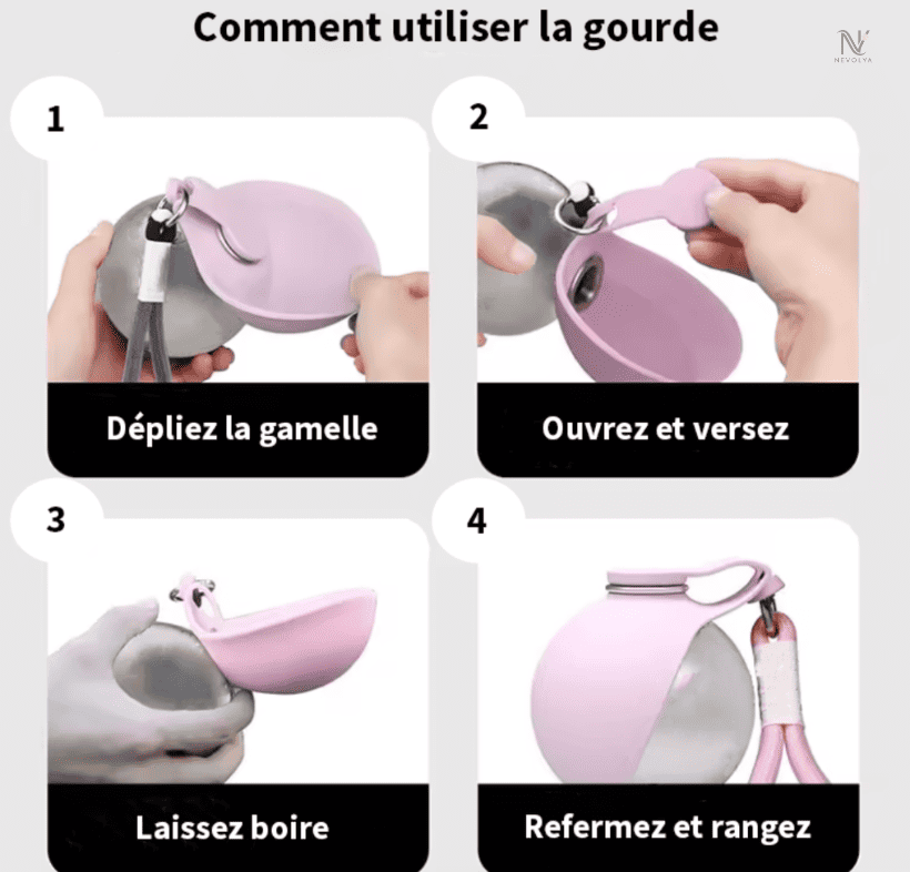 Gourde portable pour chien – Ne laissez plus votre chien manquer d’eau en balade